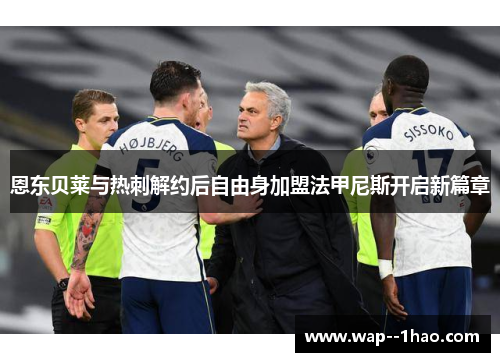 恩东贝莱与热刺解约后自由身加盟法甲尼斯开启新篇章